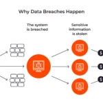 What happens to your information after a data breach?